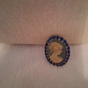 Elegant Blue Stones But One Is Black  Cameo Brooch The Back Is Silver Tone